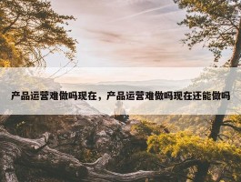 产品运营难做吗现在，产品运营难做吗现在还能做吗