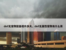 dnf无宠物装备提升多大，dnf无属性宠物有什么用