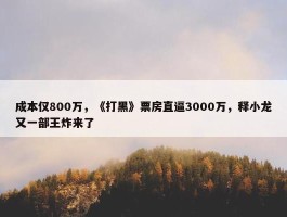 成本仅800万，《打黑》票房直逼3000万，释小龙又一部王炸来了