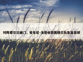 对阵爱尔兰破门，安东尼-戈登收获英格兰队生涯首球