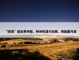 “动漫”组合再夺冠，林诗栋潜力无限，将超越马龙