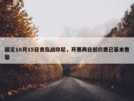 国足10月15日青岛战印尼，开票两日低价票已基本售罄