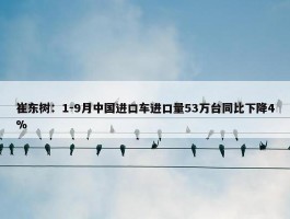 崔东树：1-9月中国进口车进口量53万台同比下降4%