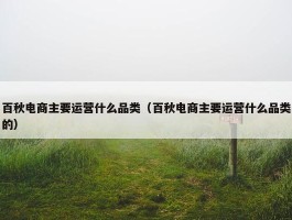 百秋电商主要运营什么品类（百秋电商主要运营什么品类的）