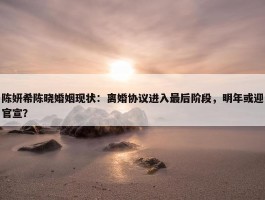 陈妍希陈晓婚姻现状：离婚协议进入最后阶段，明年或迎官宣？