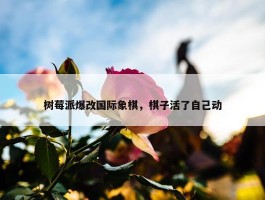 树莓派爆改国际象棋，棋子活了自己动