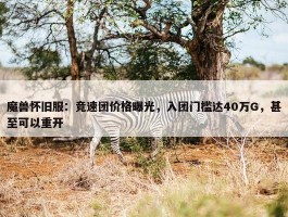 魔兽怀旧服：竞速团价格曝光，入团门槛达40万G，甚至可以重开