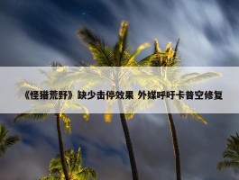 《怪猎荒野》缺少击停效果 外媒呼吁卡普空修复