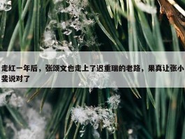 走红一年后，张颂文也走上了迟重瑞的老路，果真让张小斐说对了