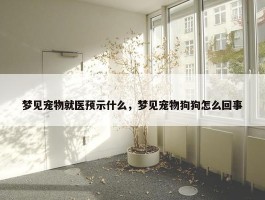 梦见宠物就医预示什么，梦见宠物狗狗怎么回事