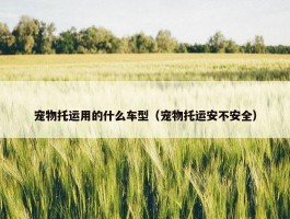 宠物托运用的什么车型（宠物托运安不安全）