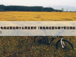 电商运营选择什么类目更好（做电商运营从哪个职位做起）