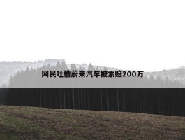 网民吐槽蔚来汽车被索赔200万