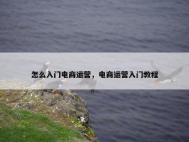 怎么入门电商运营，电商运营入门教程