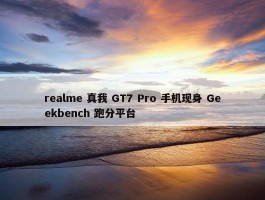 realme 真我 GT7 Pro 手机现身 Geekbench 跑分平台