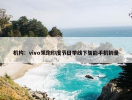 机构：vivo领跑印度节日季线下智能手机销量