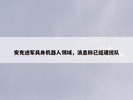 安克进军具身机器人领域，消息称已组建团队