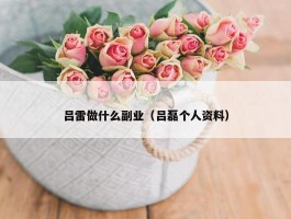 吕雷做什么副业（吕磊个人资料）