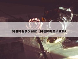 何老师有多少副业（何老师哪里毕业的）