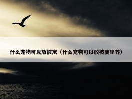 什么宠物可以放被窝（什么宠物可以放被窝里养）