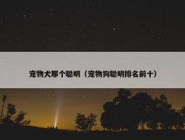 宠物犬那个聪明（宠物狗聪明排名前十）