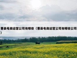 曹县电商运营公司有哪些（曹县电商运营公司有哪些公司）