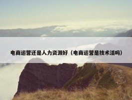 电商运营还是人力资源好（电商运营是技术活吗）