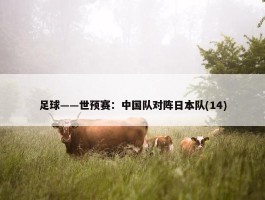 足球——世预赛：中国队对阵日本队(14)