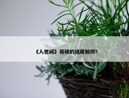 《人世间》周楠的结局如何？