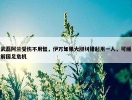 武磊阿兰受伤不用慌，伊万如果大胆纠错起用一人，可缓解国足危机