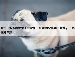 仙逆：朱雀国使者正式现身，红蝶师父算错一件事，王林强势夺鼎