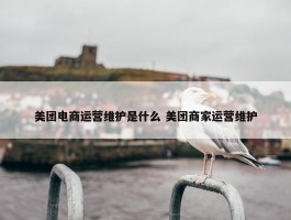 美团电商运营维护是什么 美团商家运营维护