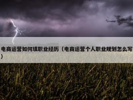 电商运营如何填职业经历（电商运营个人职业规划怎么写）