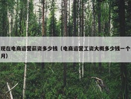 现在电商运营薪资多少钱（电商运营工资大概多少钱一个月）