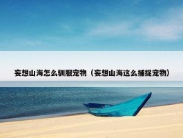 妄想山海怎么驯服宠物（妄想山海这么捕捉宠物）