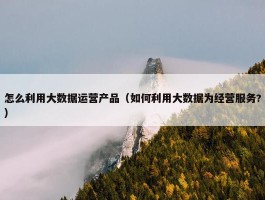 怎么利用大数据运营产品（如何利用大数据为经营服务?）