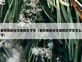 暑假做副业文案励志学生（暑假做副业文案励志学生怎么写）