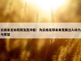 云南省足协祝贺玉昆冲超：为云南足球未来发展注入动力与希望