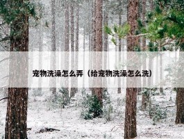 宠物洗澡怎么弄（给宠物洗澡怎么洗）