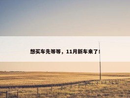 想买车先等等，11月新车来了！