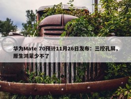 华为Mate 70预计11月26日发布：三挖孔屏，原生鸿蒙少不了