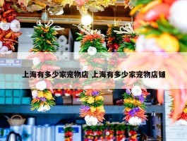 上海有多少家宠物店 上海有多少家宠物店铺