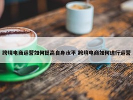 跨境电商运营如何提高自身水平 跨境电商如何进行运营