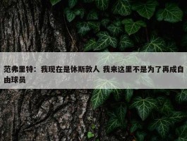 范弗里特：我现在是休斯敦人 我来这里不是为了再成自由球员