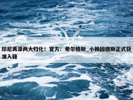 印尼再添两大归化！官方：希尔格斯_小赖因德斯正式获准入籍