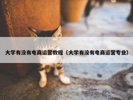 大学有没有电商运营教程（大学有没有电商运营专业）