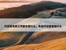 代运营电商公司都会做什么，电商代运营是做什么