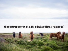 电商运营要管什么的工作（电商运营的工作是什么）