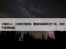 三国志11：三皇惊鸿登场！曹操刘备都乐开了花，孙权气得想掀桌！