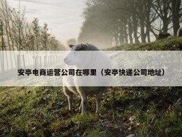 安亭电商运营公司在哪里（安亭快递公司地址）